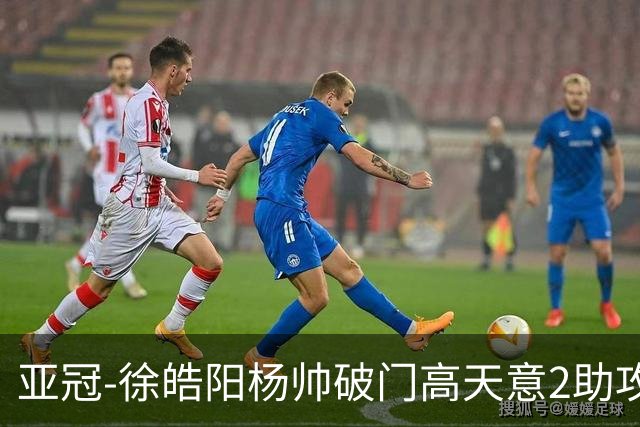 亚冠-徐皓阳杨帅破门高天意2助攻 申花2-1淡滨尼流浪者
